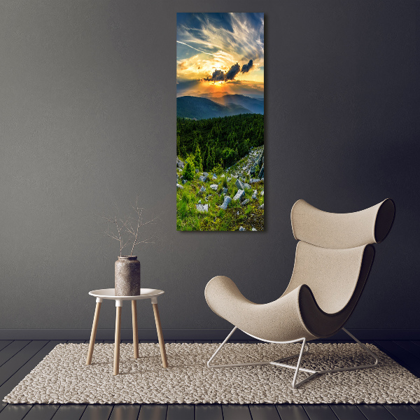 Verticale foto op canvas Panorama van de bergen