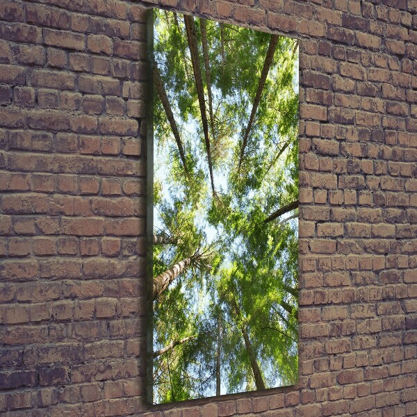 Verticale canvasfoto Boomkroon