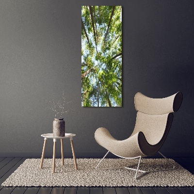 Verticale canvasfoto Boomkroon