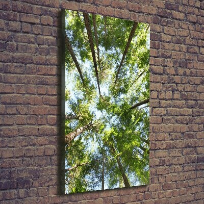 Verticale canvasfoto Boomkroon