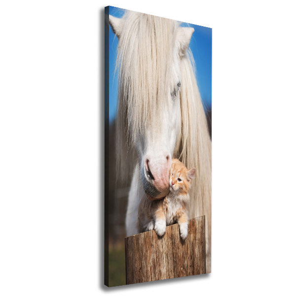 Verticale foto op canvas Wit paard met een kat
