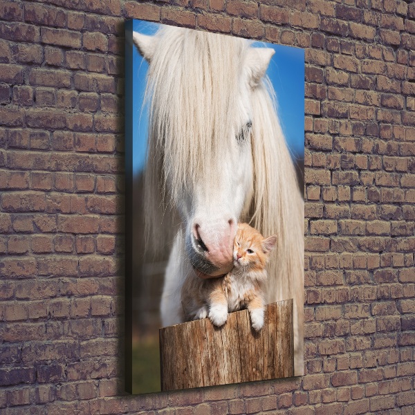 Verticale foto op canvas Wit paard met een kat