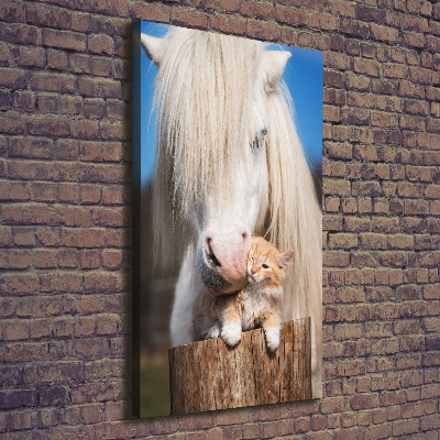 Verticale foto op canvas Wit paard met een kat