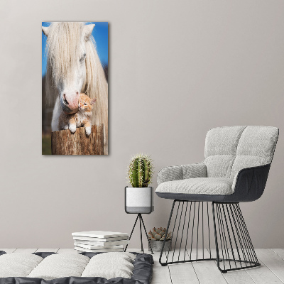 Verticale foto op canvas Wit paard met een kat