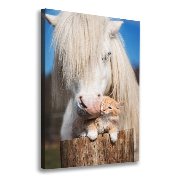 Verticale foto op canvas Wit paard met een kat