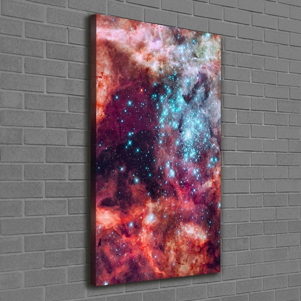 Verticale foto op canvas Magellaanse Wolk