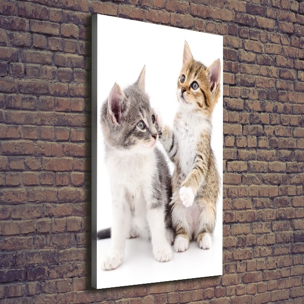 Verticale canvasfoto Twee kleine katjes