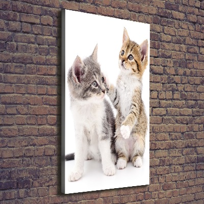 Verticale canvasfoto Twee kleine katjes