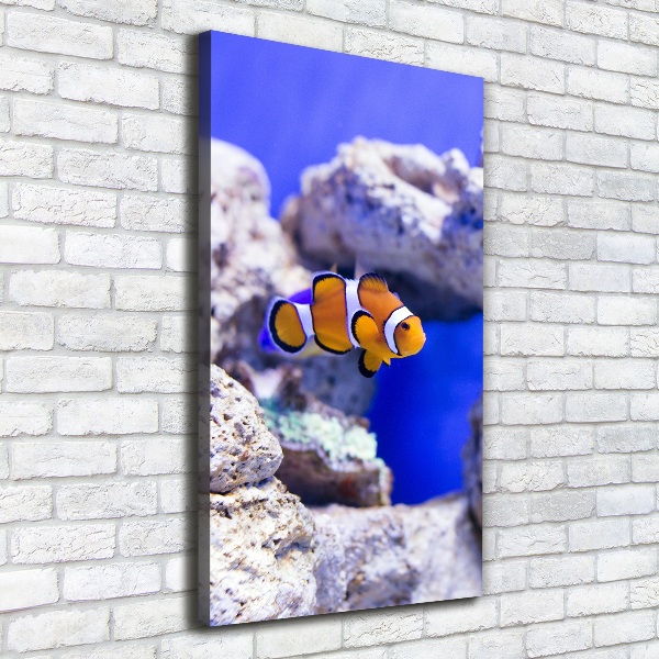 Verticaal schilderij op canvas Nemo de vis