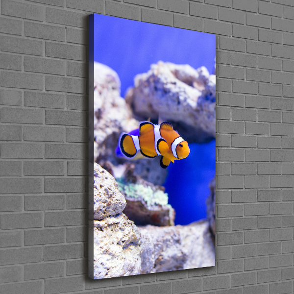 Verticaal schilderij op canvas Nemo de vis