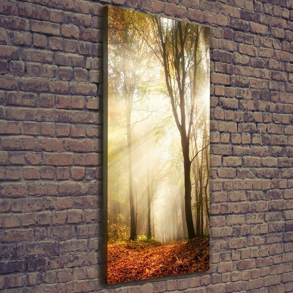 Verticale foto op canvas Bos in de herfst