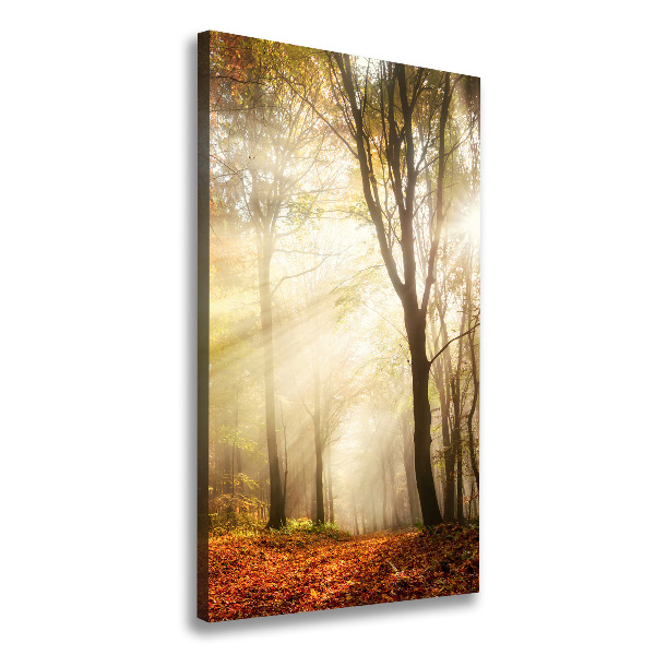 Verticale foto op canvas Bos in de herfst