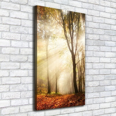 Verticale foto op canvas Bos in de herfst