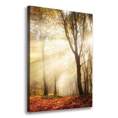 Verticale foto op canvas Bos in de herfst