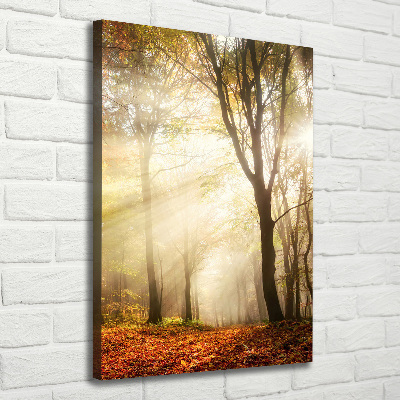 Verticale foto op canvas Bos in de herfst
