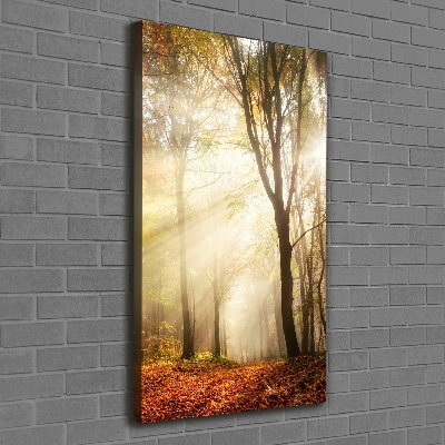 Verticale foto op canvas Bos in de herfst