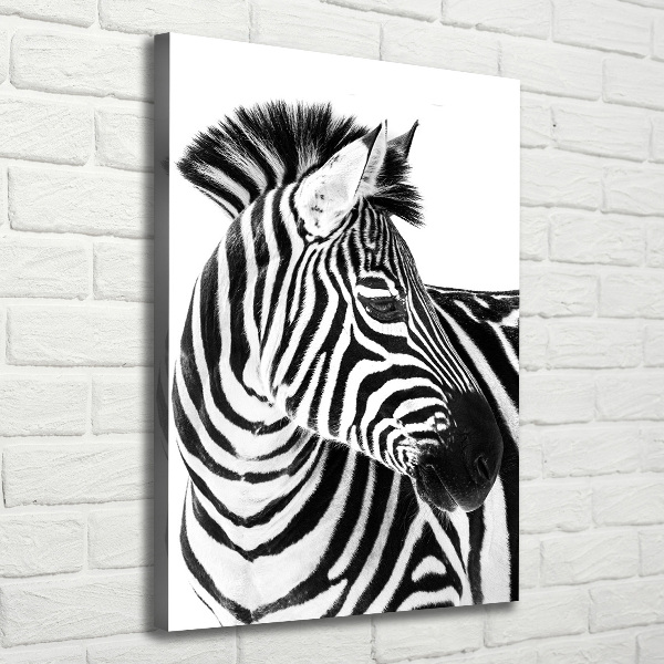 Verticaal schilderij op canvas Zebra in de sneeuw