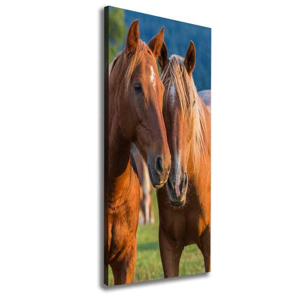 Verticale foto op canvas Twee paarden