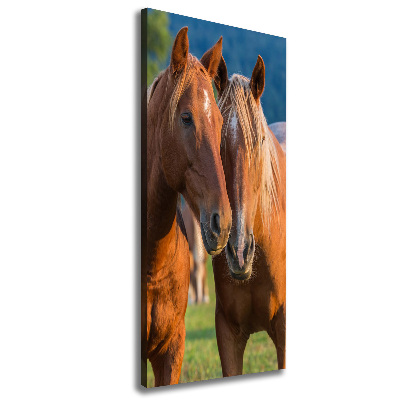 Verticale foto op canvas Twee paarden