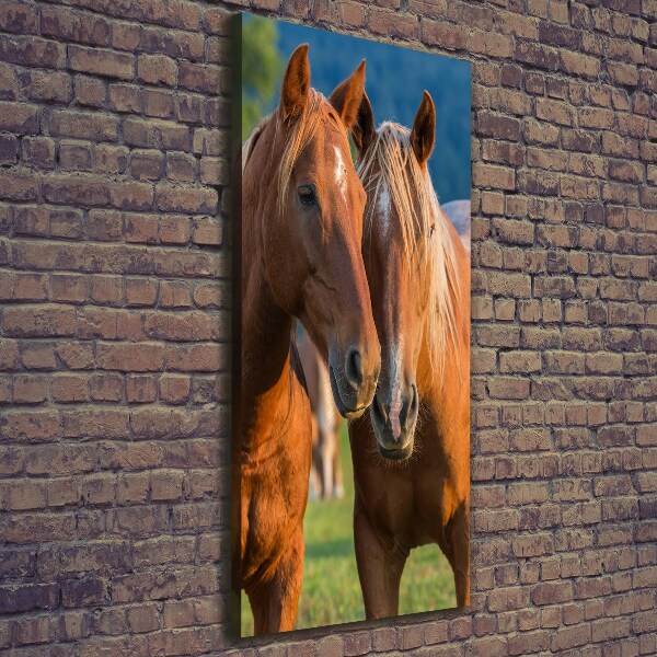 Verticale foto op canvas Twee paarden