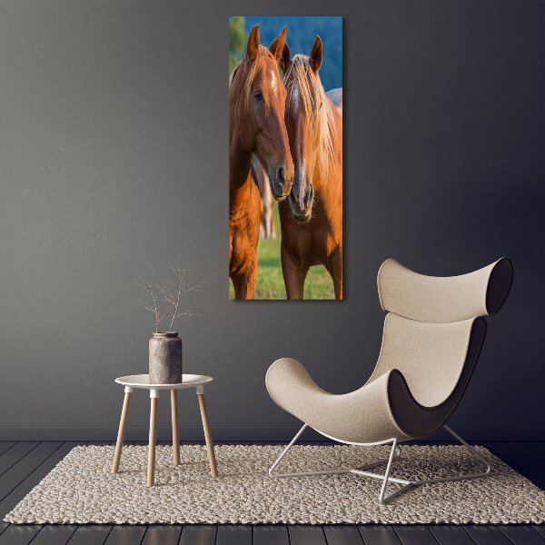 Verticale foto op canvas Twee paarden