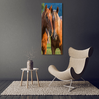 Verticale foto op canvas Twee paarden
