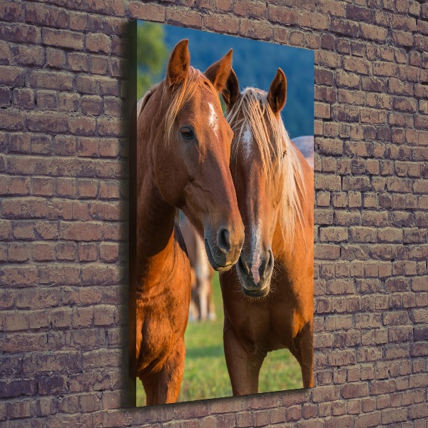 Verticale foto op canvas Twee paarden