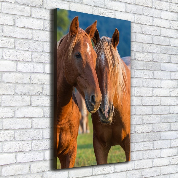 Verticale foto op canvas Twee paarden