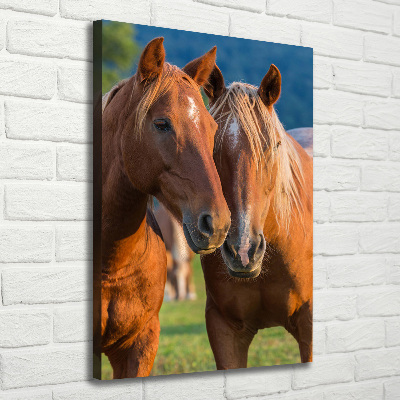 Verticale foto op canvas Twee paarden