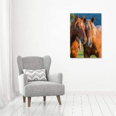 Verticale foto op canvas Twee paarden