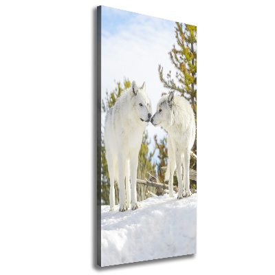Verticale canvasfoto Twee witte wolven