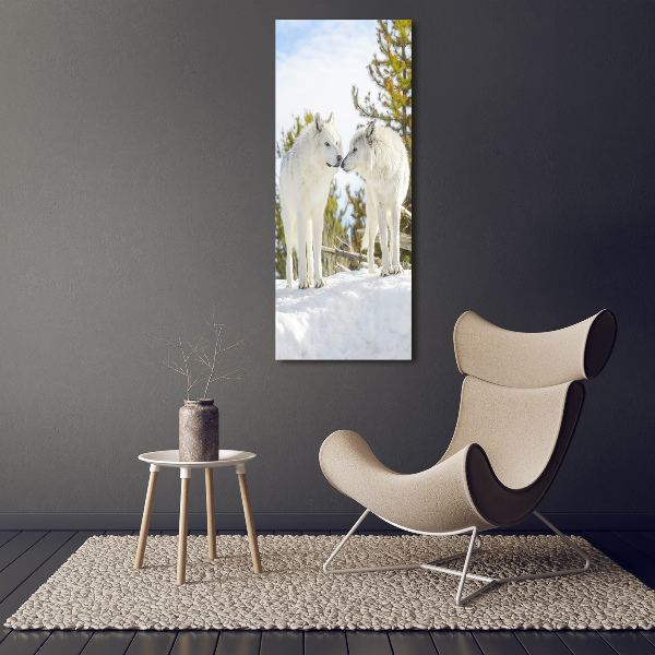 Verticale canvasfoto Twee witte wolven
