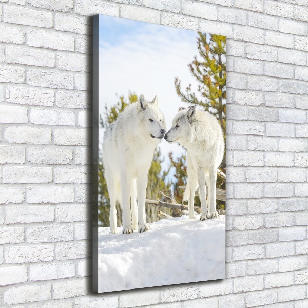 Verticale canvasfoto Twee witte wolven