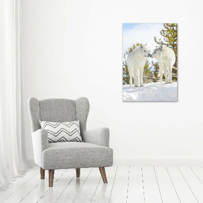 Verticale canvasfoto Twee witte wolven