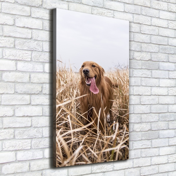 Verticaal schilderij op canvas Gouden retriever