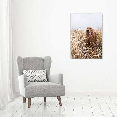 Verticaal schilderij op canvas Gouden retriever