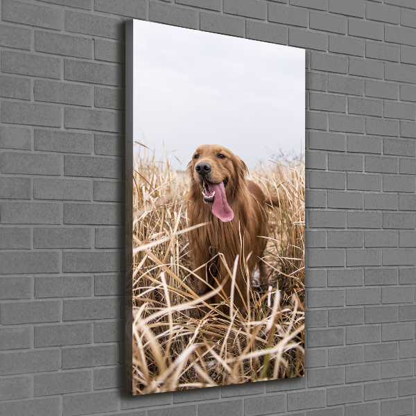 Verticaal schilderij op canvas Gouden retriever