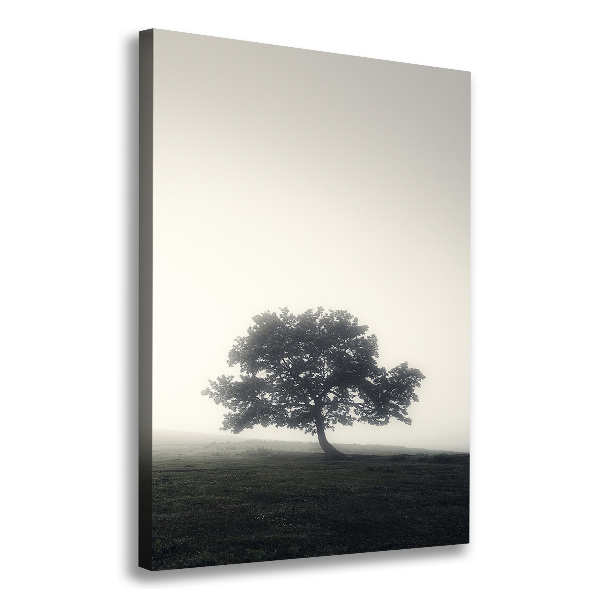 Verticale foto op canvas Boom in de mist