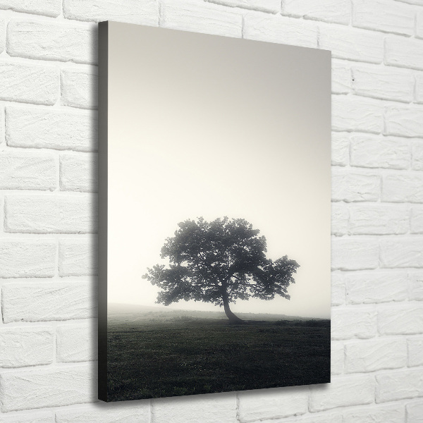 Verticale foto op canvas Boom in de mist