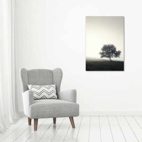 Verticale foto op canvas Boom in de mist