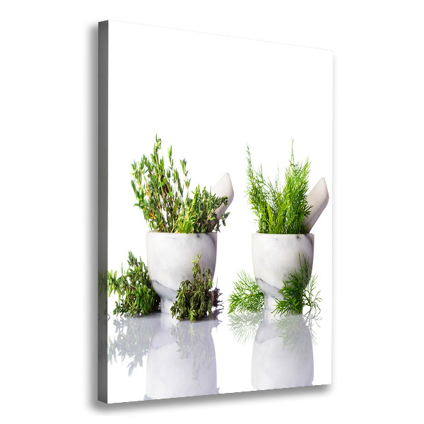 Verticale foto op canvas Vijzels en kruiden