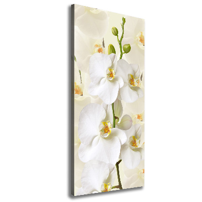 Verticale canvasfoto Witte orchidee