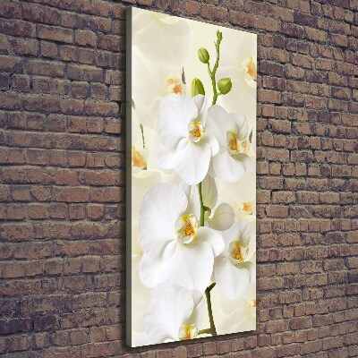 Verticale canvasfoto Witte orchidee