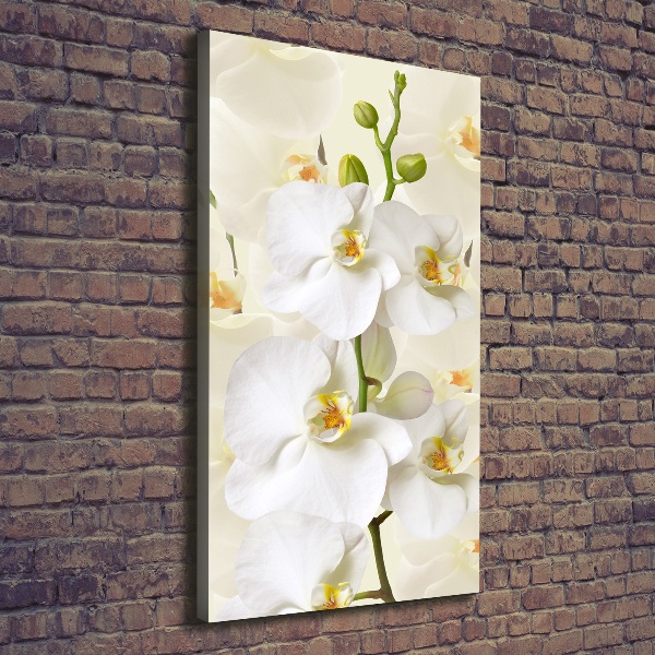 Verticale canvasfoto Witte orchidee