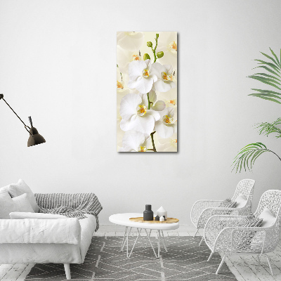 Verticale canvasfoto Witte orchidee