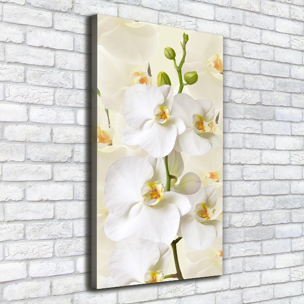 Verticale canvasfoto Witte orchidee
