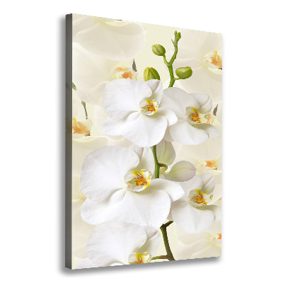 Verticale canvasfoto Witte orchidee