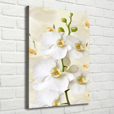 Verticale canvasfoto Witte orchidee