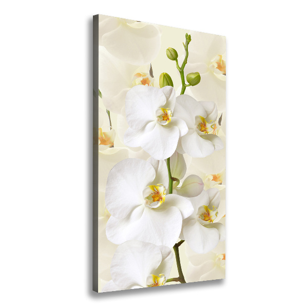 Verticale canvasfoto Witte orchidee