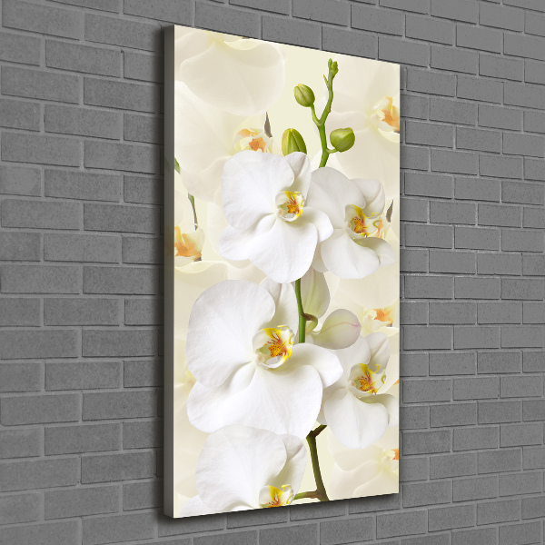 Verticale canvasfoto Witte orchidee